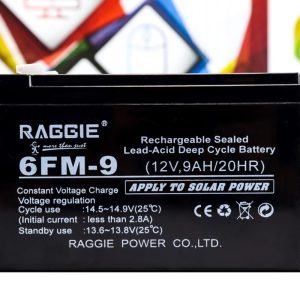 Baterija za UPS Raggie 6FM-9 12V 9AH 20HR