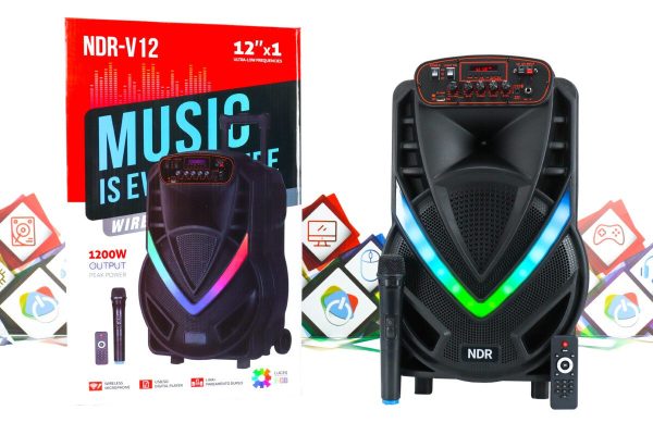 Karaoke bežični zvučnik s mikrofonom NDR-V12 - Slika 2