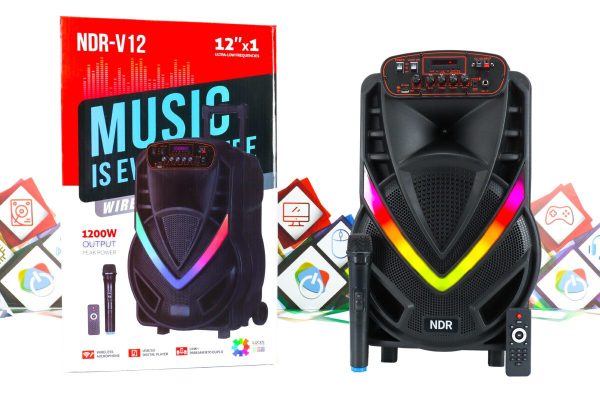 Karaoke bežični zvučnik s mikrofonom NDR-V12