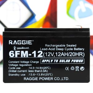 Baterija za UPS Raggie 6FM-12 12V 12AH 20HR