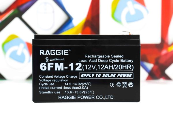 Baterija za UPS Raggie 6FM-12 12V 12AH 20HR
